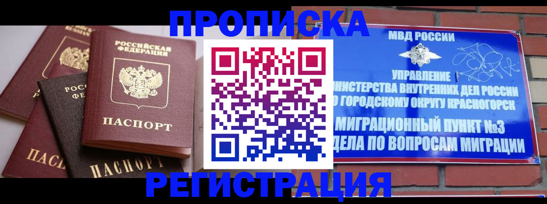 прописка для школы в Мурманске